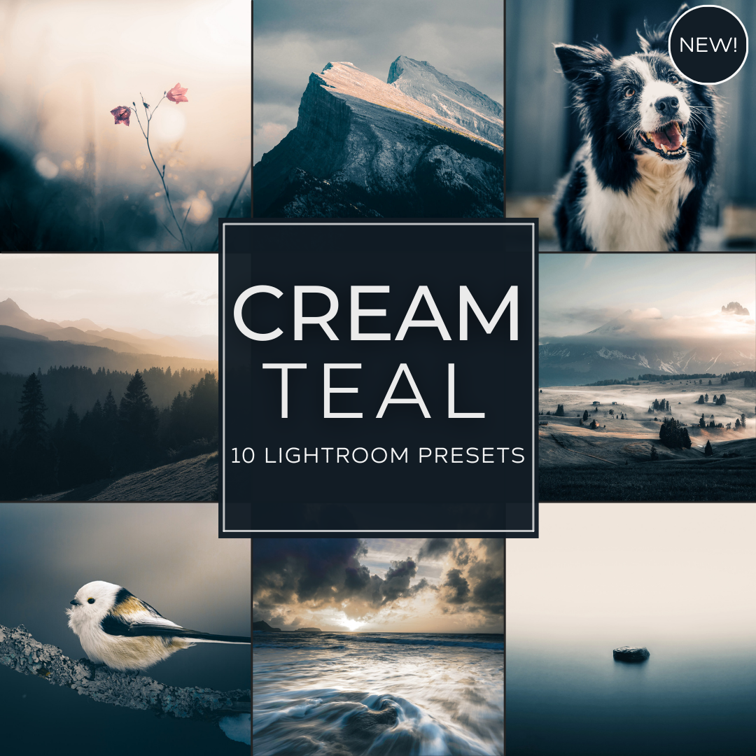 Cream Teal LIMITIERTES Lightroom-Presets-Paket