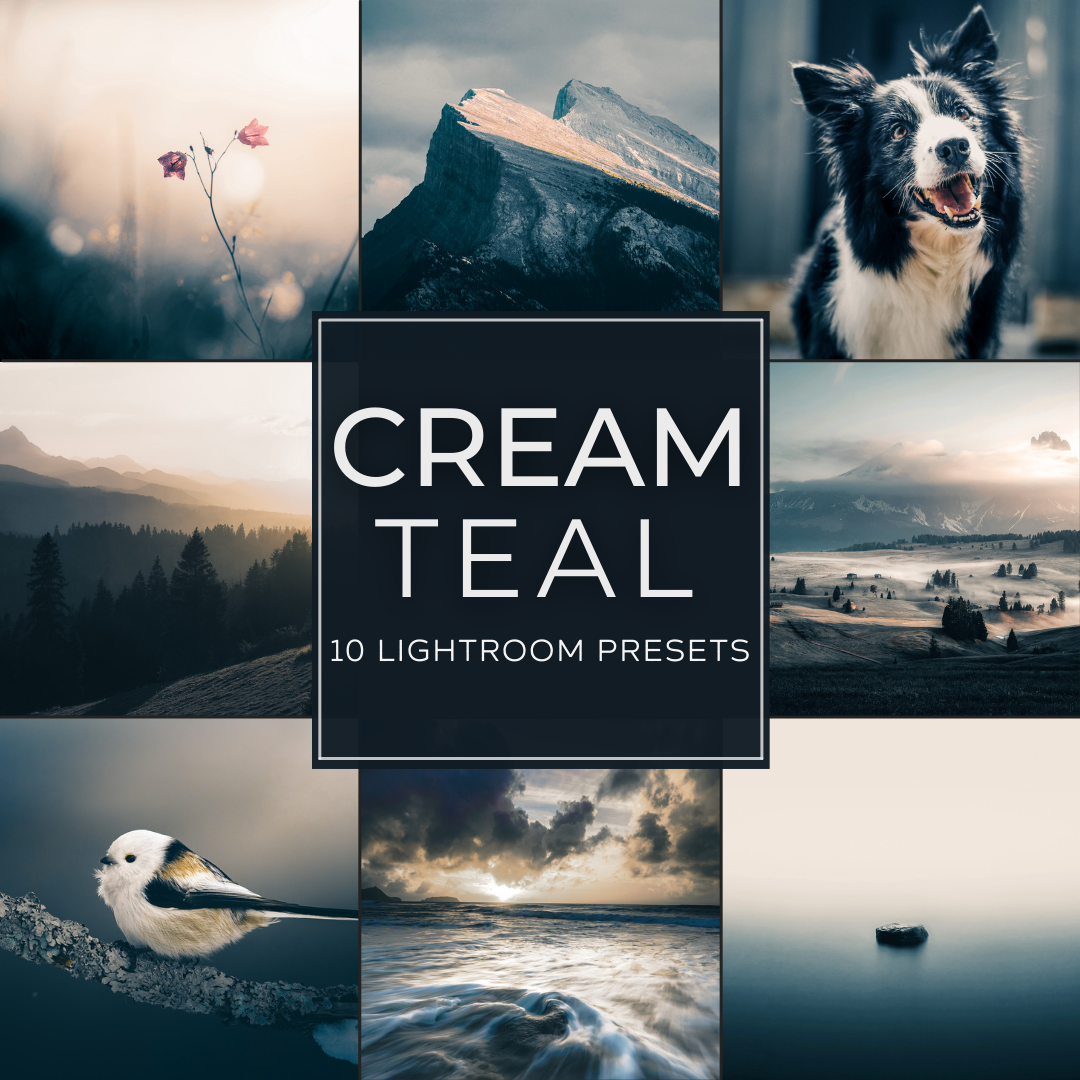 Cream Teal Lightroom Presets Pack