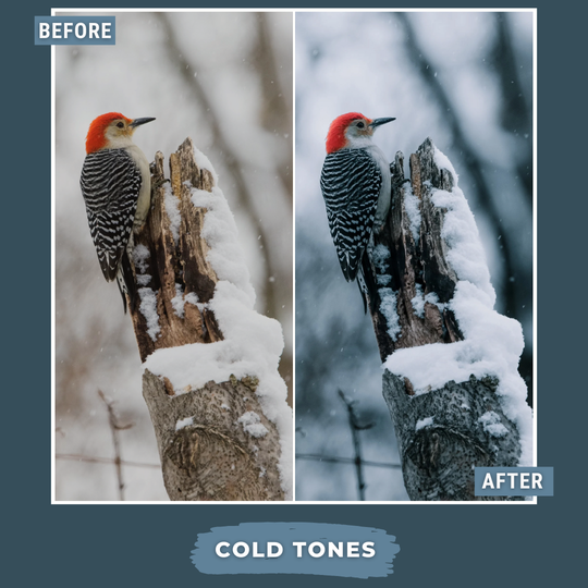 Winter Bundle LIMITED 80 Lightroom Presets + 75 Bonus AI Winter Presets