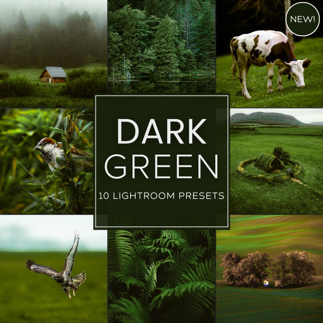 Dark Green LIMITED Lightroom Presets Pack
