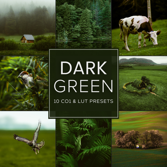 Dark Green Capture One & LUT Presets Pack