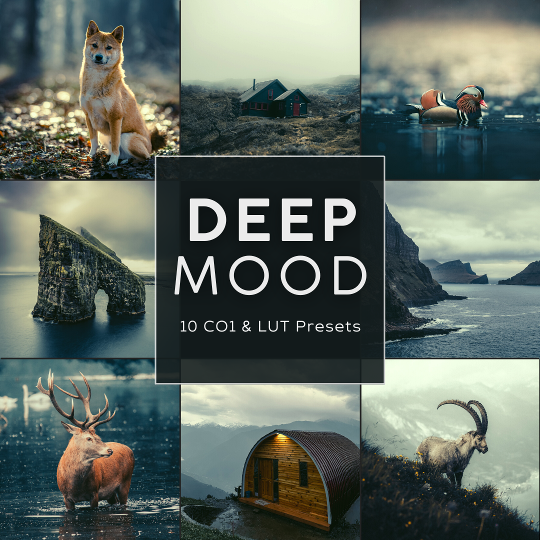 Deep Mood Capture One & LUT Presets Pack