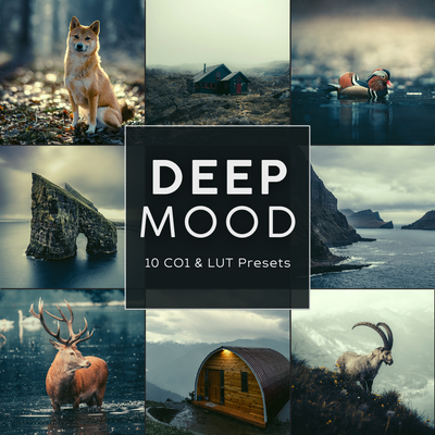 Deep Mood Capture One & LUT Presets Pack
