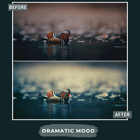 Master Collection Bundle 490 Lightroom Presets Summer