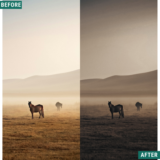 Dark Plains Lightroom Presets Pack