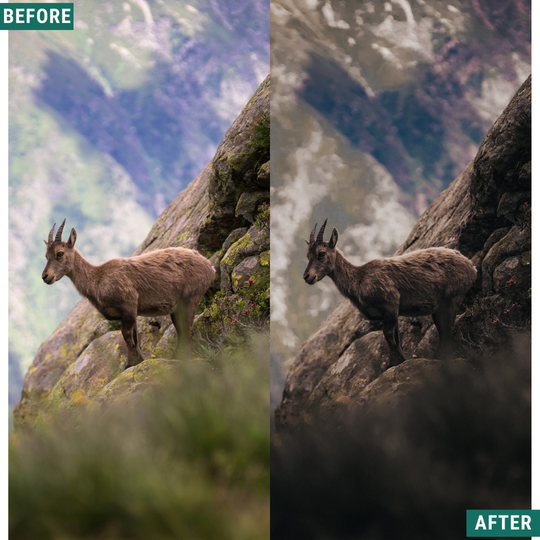 Dark Plains Lightroom Presets Pack
