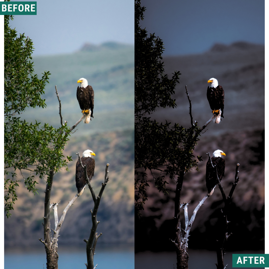 Dark Peaks Lightroom Presets Pack