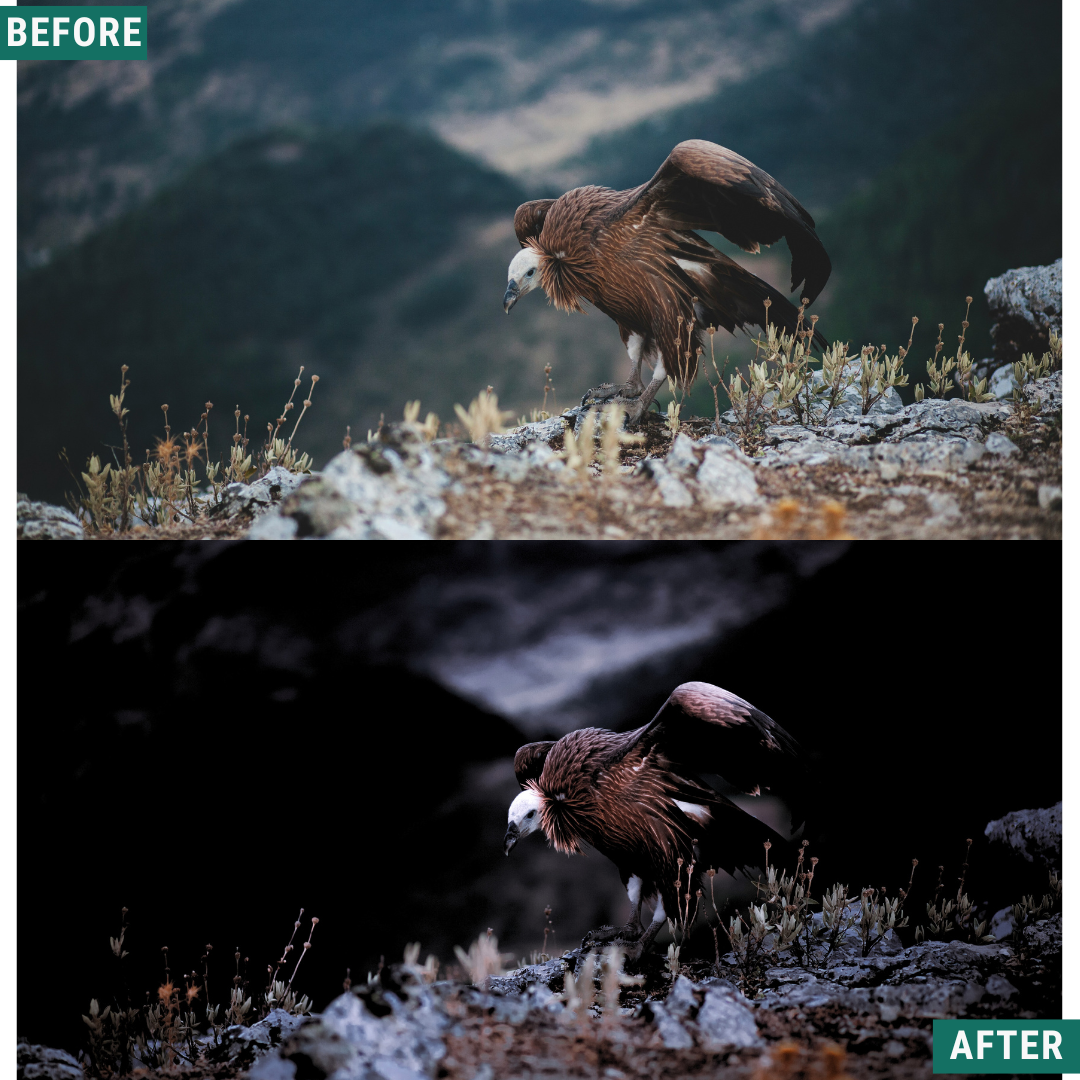Dark Peaks Lightroom Presets Pack