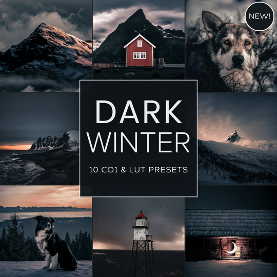 Dark Winter LIMITED Capture One & LUT Presets Pack