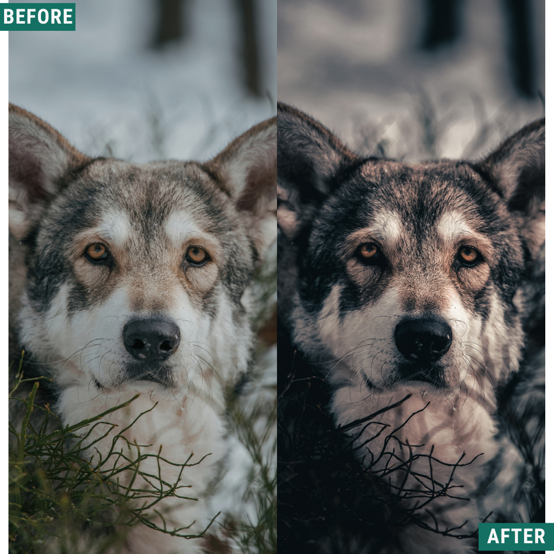 Dark Winter LIMITED Lightroom Presets Pack