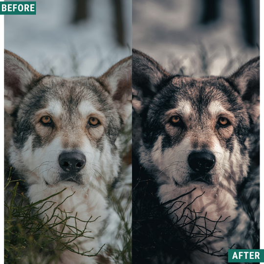 Dark Winter LIMITED Lightroom Presets Pack