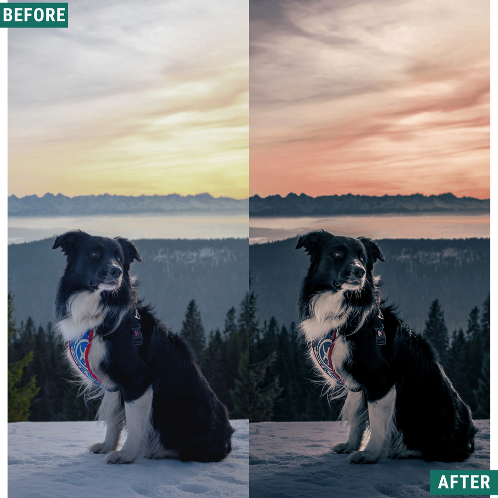 Dark Winter LIMITIERTES Lightroom-Presets-Paket