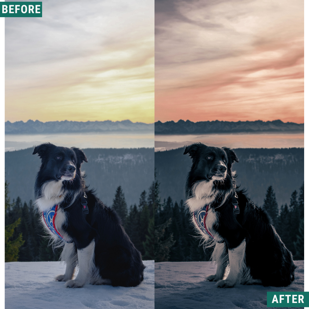 Dark Winter LIMITED Lightroom Presets Pack