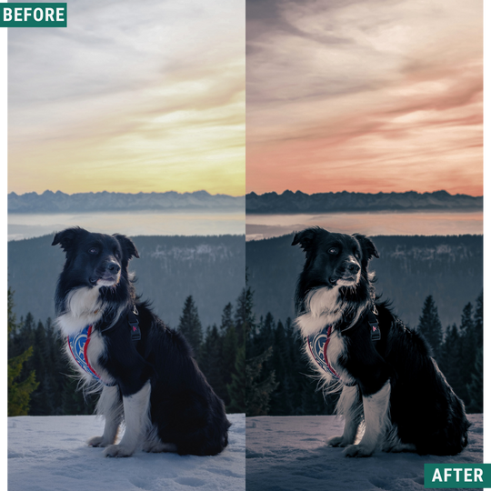 Dark Winter LIMITED Lightroom Presets Pack