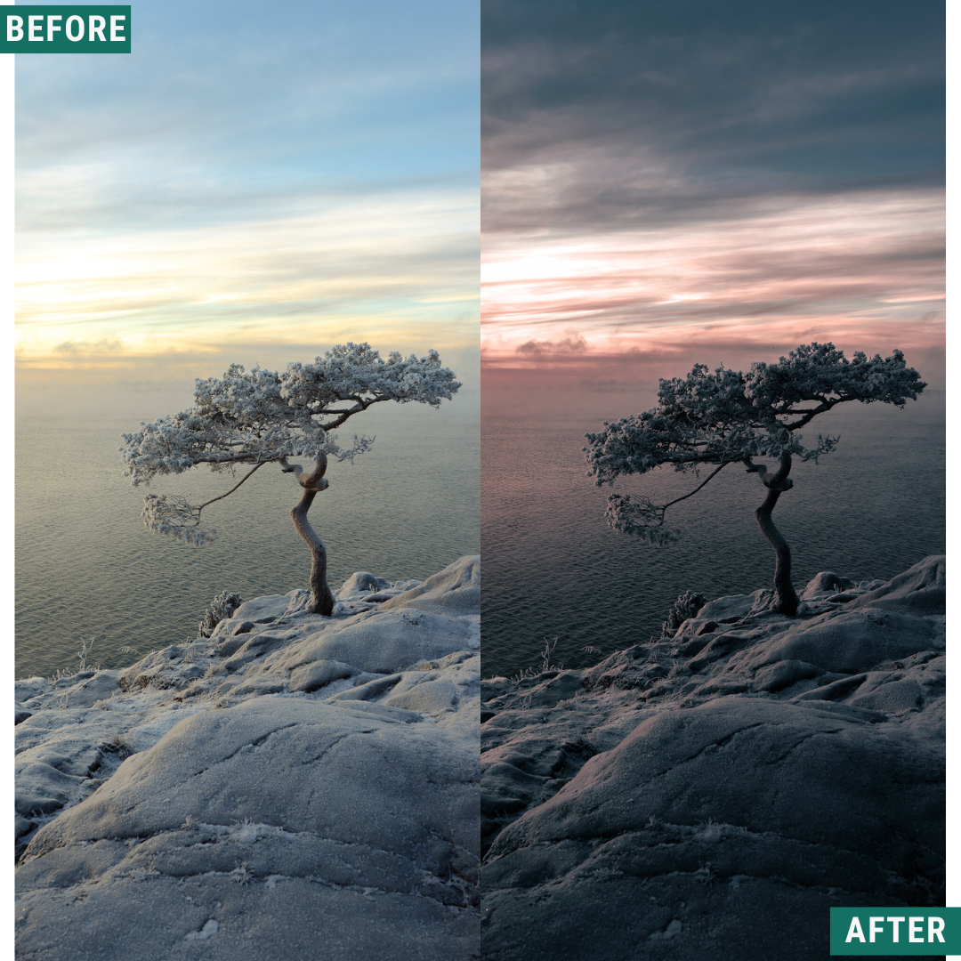 Dark Winter LIMITED Capture One & LUT Presets Pack