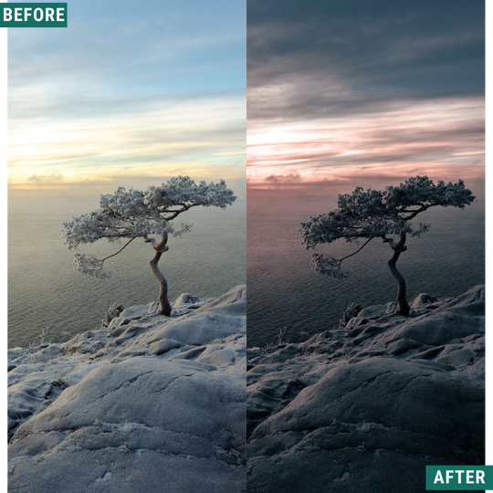 Dark Winter LIMITED Capture One & LUT Presets Pack