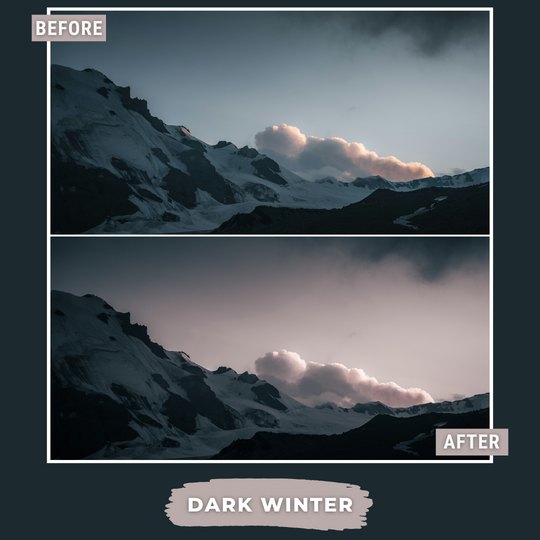 Winter Value Bundle 80 Capture One & LUT Presets