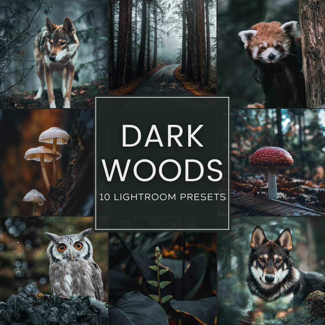 Dark Woods Lightroom Presets: Moody Forest Photo Editing with Deep Green and Earthy Tones for Desktop and Mobile.