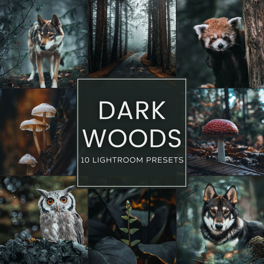 Dark Woods Lightroom-Presets-Paket