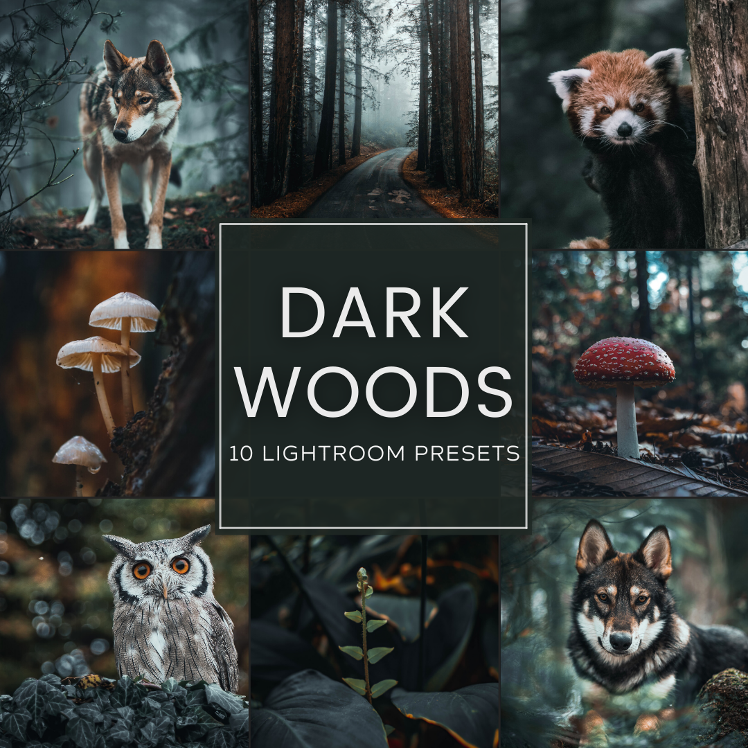 Dark Woods Lightroom Presets Pack
