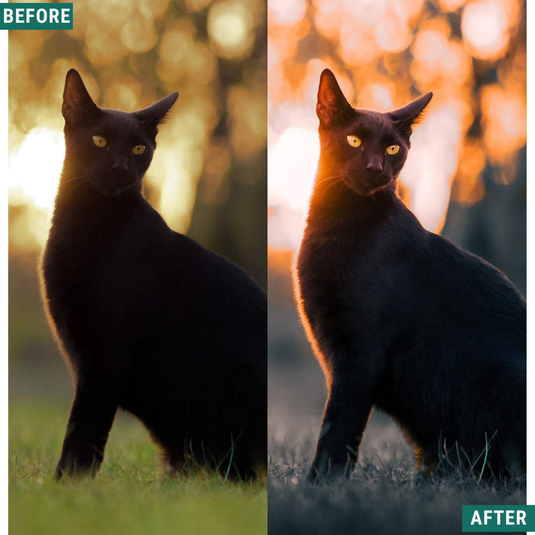 Ember Peaks Lightroom Presets Pack