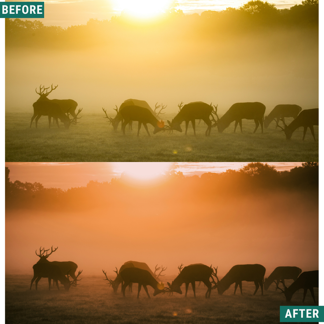 Ember Peaks Lightroom Presets Pack