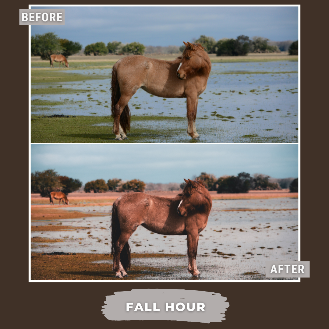 Master Collection Bundle 540 Lightroom Presets Autumn
