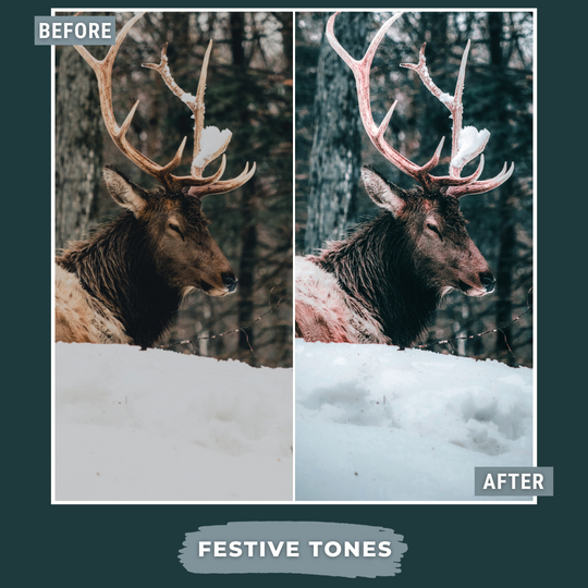 Master Collection Capture One & LUT Presets Bundle Winter