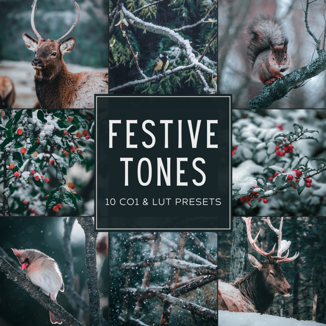 Festive Tones Capture One & LUT Presets Pack
