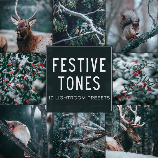 Festive Tones Lightroom-Presets-Paket