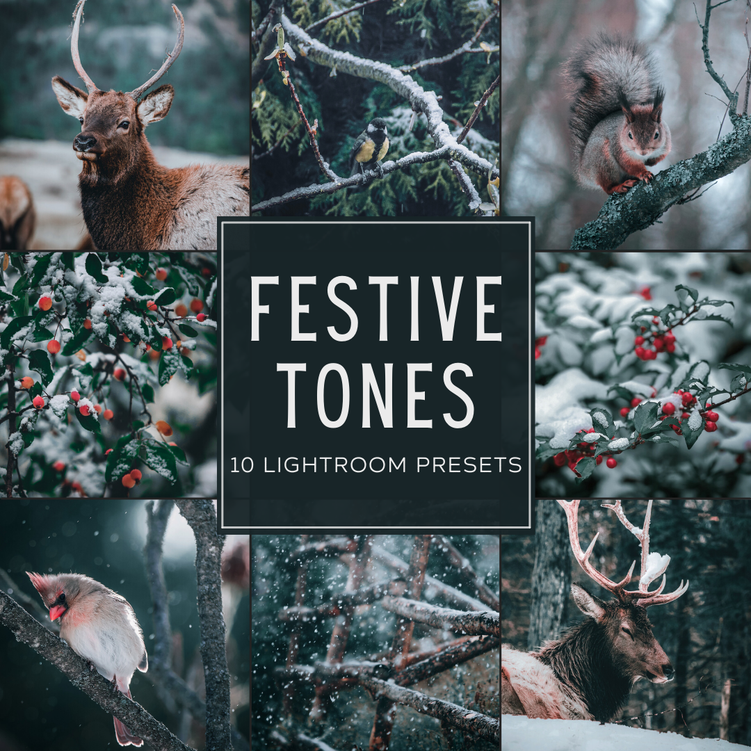 Festive Tones Lightroom Presets Pack