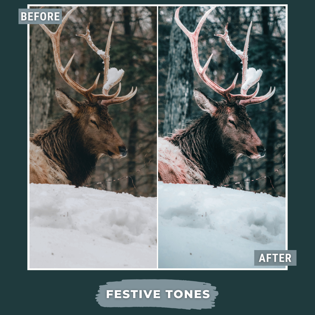 Master Collection Bundle 620 Lightroom Presets + 75 Bonus AI Winter Presets