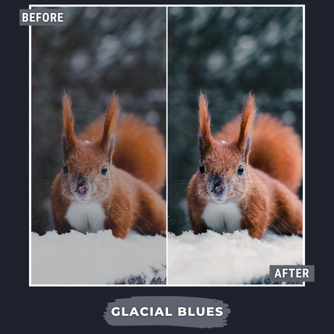 Master Collection Bundle 620 Lightroom Presets + 75 Bonus AI Winter Presets