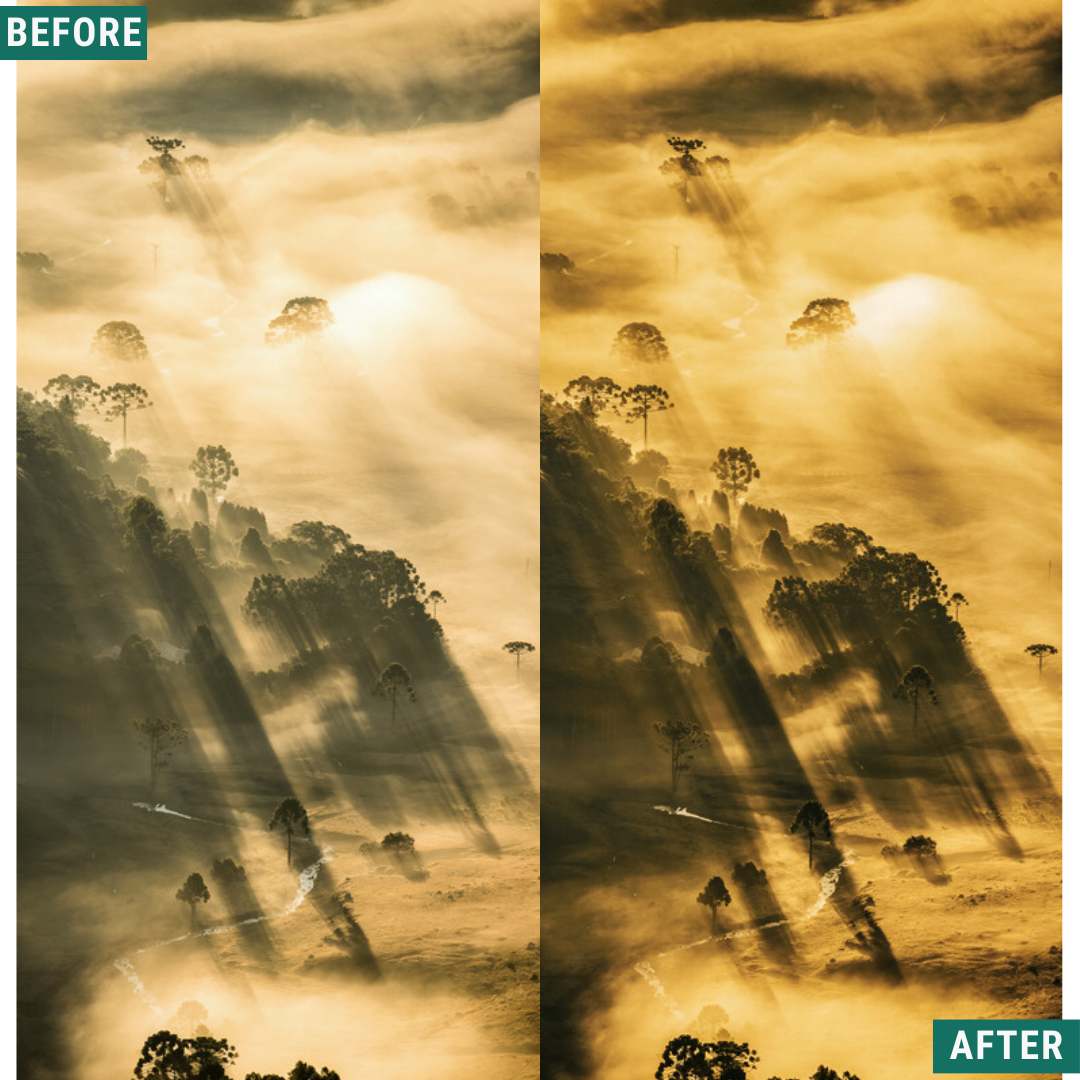 Gold Dusk LIMITIERTES Lightroom-Presets-Paket