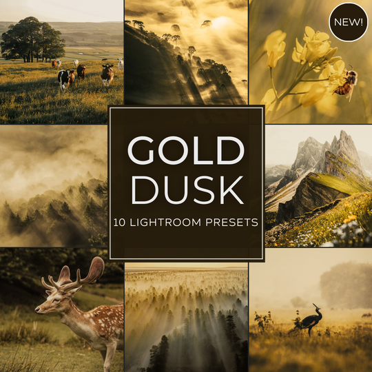 Gold Dusk LIMITIERTES Lightroom-Presets-Paket