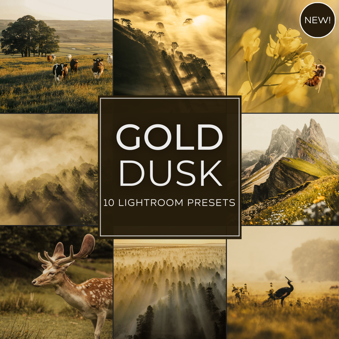 Gold Dusk LIMITED Lightroom Presets Pack