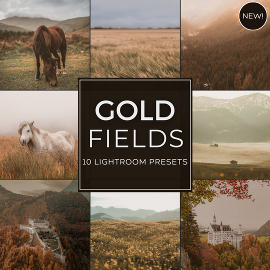 Gold Fields Lightroom Presets Pack