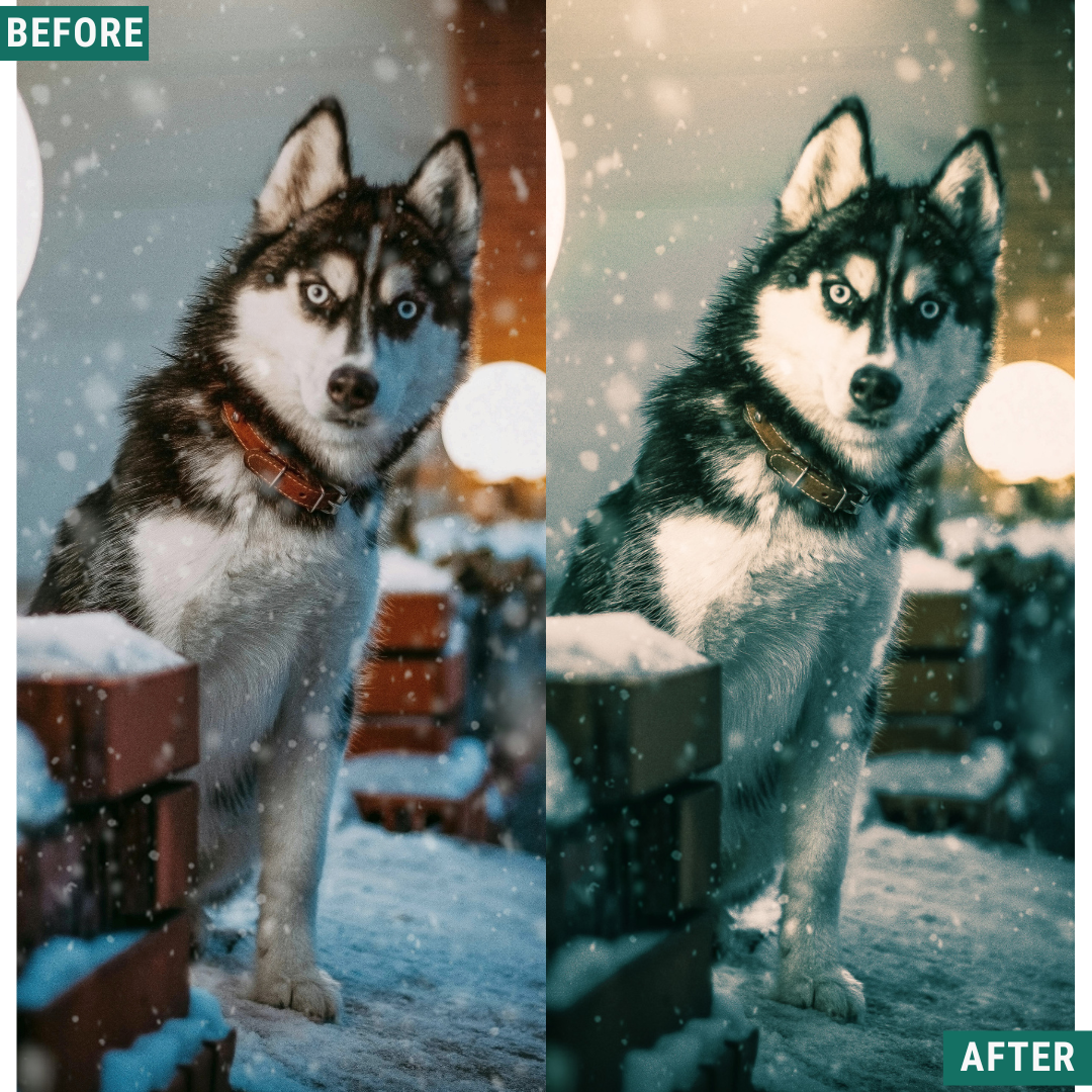 Gold Frost LIMITED Lightroom Presets Pack