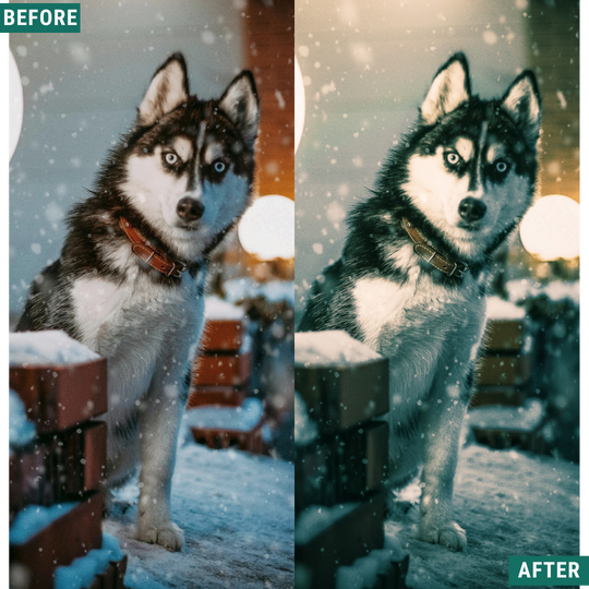 Gold Frost LIMITED Lightroom Presets Pack