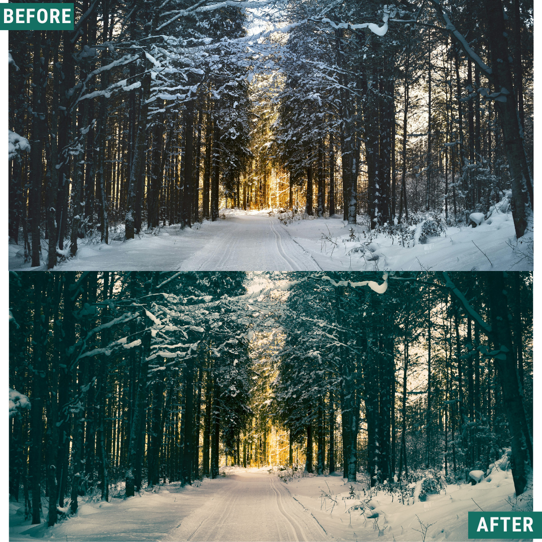 Gold Frost LIMITED Lightroom Presets Pack