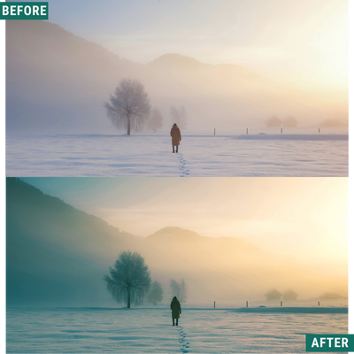 Gold Frost LIMITIERTES Lightroom-Presets-Paket