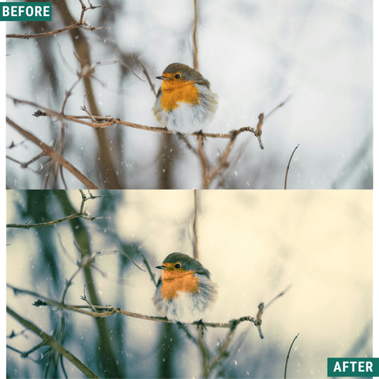 Gold Frost LIMITIERTES Lightroom-Presets-Paket