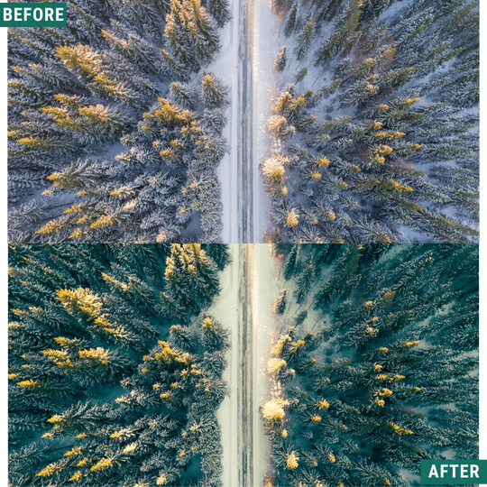 Gold Frost LIMITED Lightroom Presets Pack