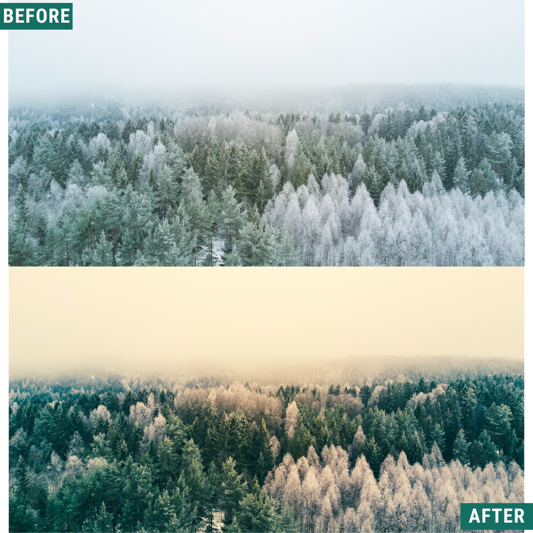 Gold Frost LIMITED Lightroom Presets Pack