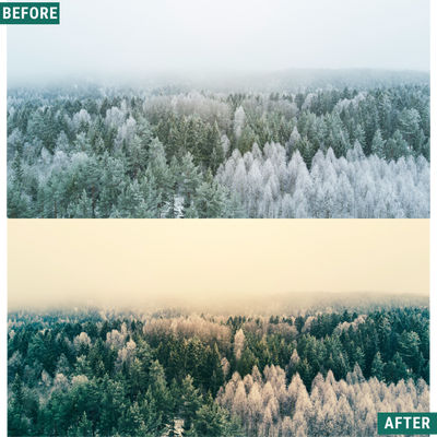 Gold Frost LIMITIERTES Lightroom-Presets-Paket