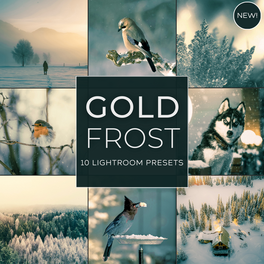 Gold Frost LIMITIERTES Lightroom-Presets-Paket