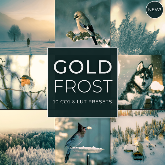 Gold Frost LIMITIERTES Lightroom-Presets-Paket