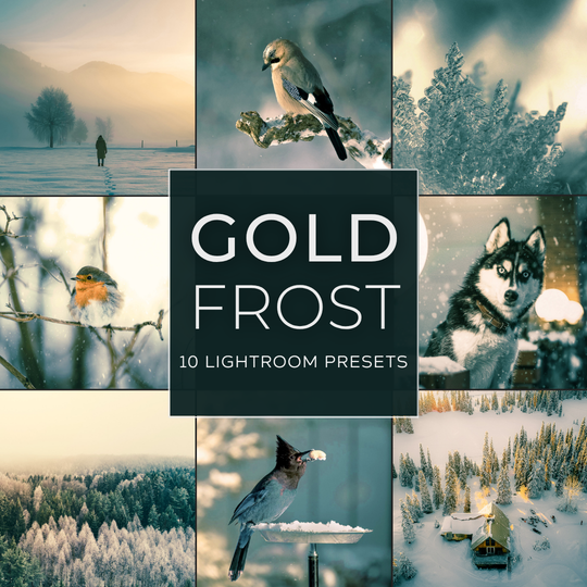 Gold Frost LIMITED Lightroom Presets Pack