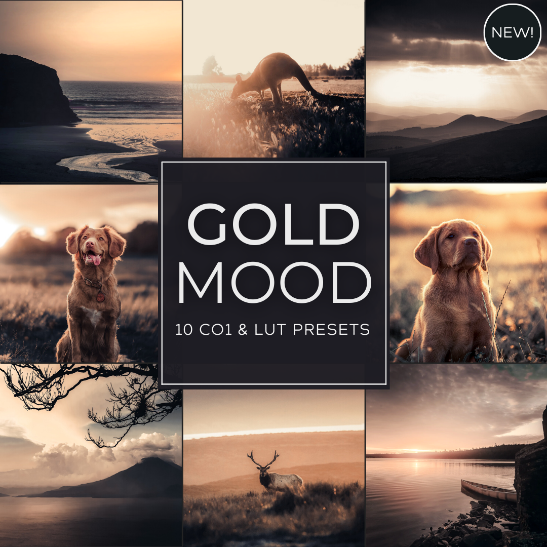 Gold Mood LIMITED Capture One & LUT Presets Pack
