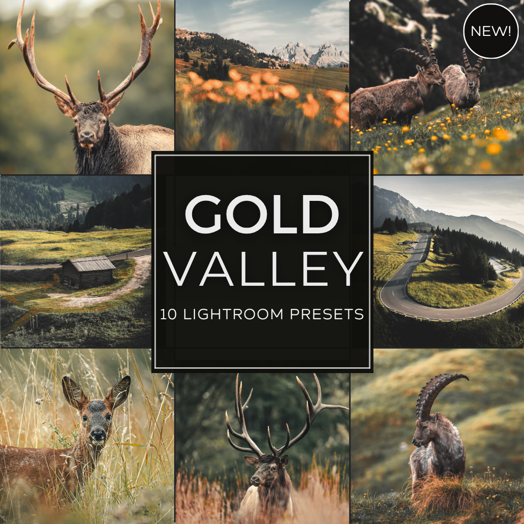 Gold Valley LIMITED Lightroom Presets Pack